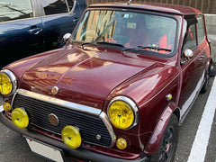 ROVER MINI Wind deflectors Window Visor [mini-semi-ds]