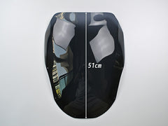 KAWASAKI NINJA ZX-11 ZZR1100 D-type  Long Windshield [zzr11-std-ds-lg]